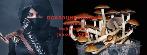 mdpv Алзамай
