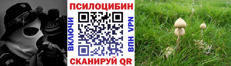 продажа наркотиков hydra как войти Псилоцибиновые грибы Magic Shrooms Гурьевск