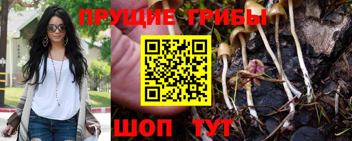 Галлюциногенные грибы GOLDEN TEACHER  Вход с VPN  Гурьевск 