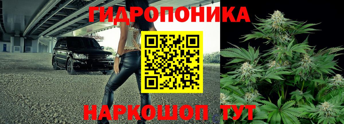 Гурьевск  МАРИХУАНА семена  Канабис сатива  Конопля конопля  Вход с VPN 